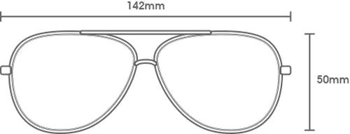 CARVE TOP DOG SILVER POLARIZED