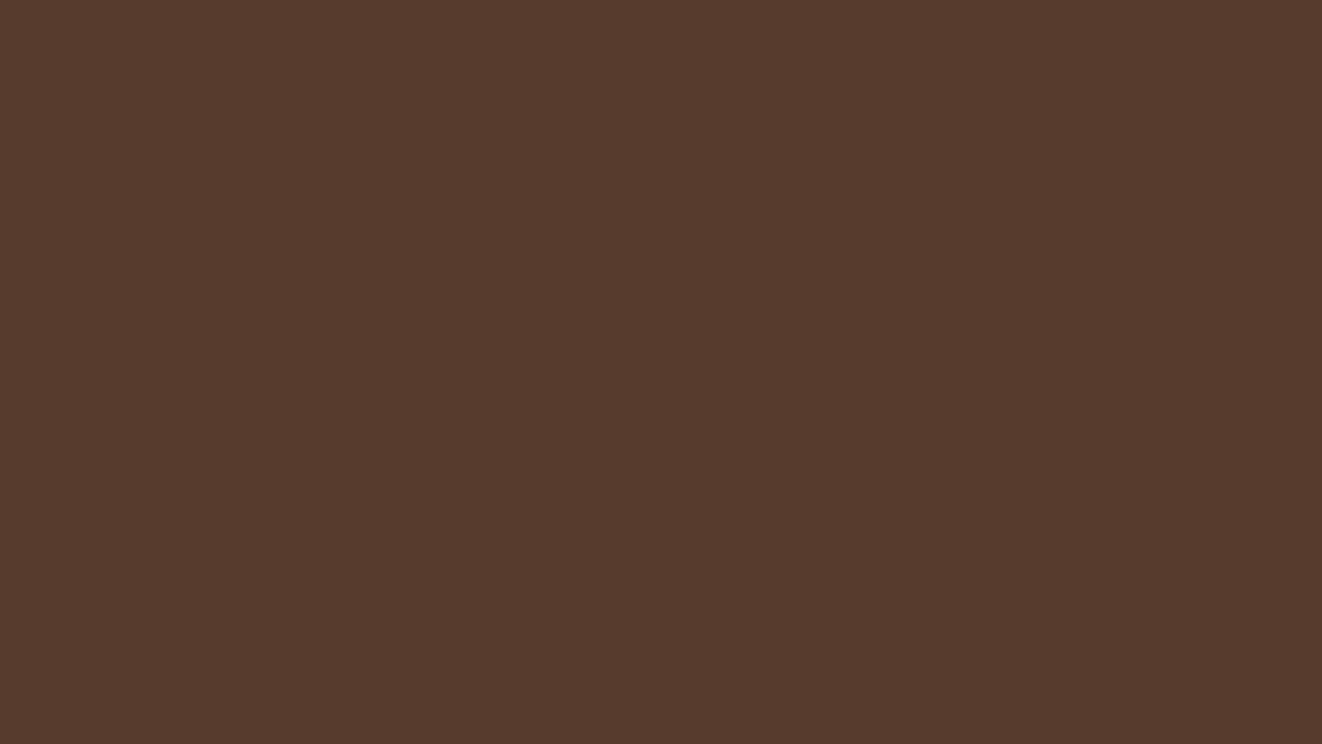 Satin Finish Pashmina  